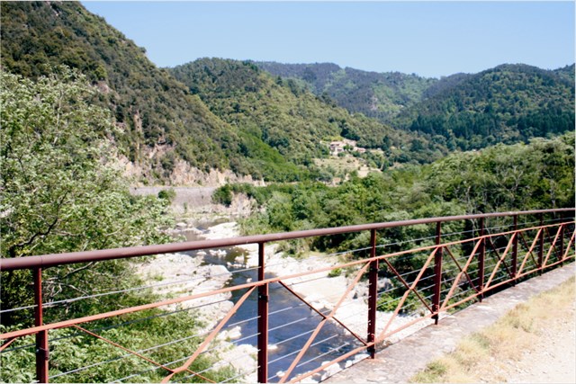 8fb60788-9b9d-4502-b0d8-b4c1bbf3f718_l