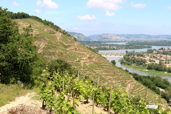 chateaubourg_dansmonviseur