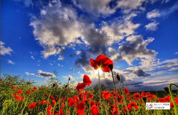 Mon année 2016 en 9 photos&nbsp;!