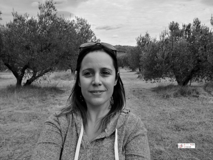 Petite virée dans les&nbsp;Alpilles