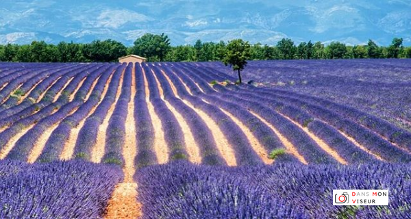 Les 9 photos de mon année&nbsp;2018