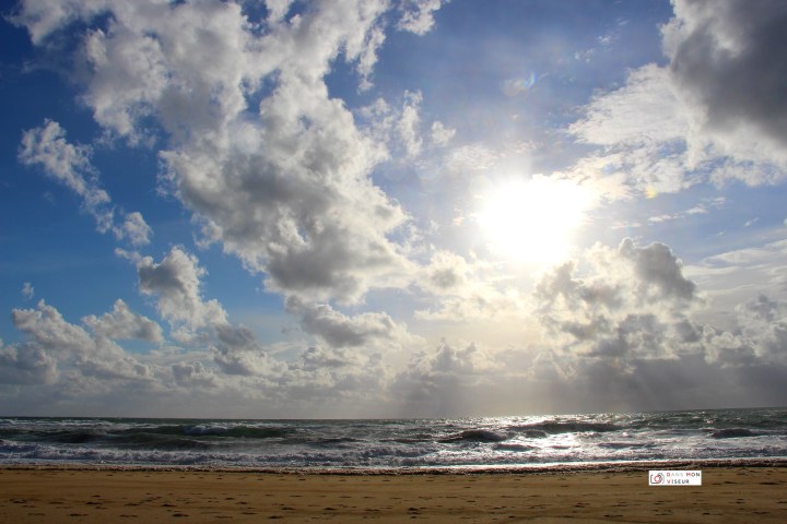 Les landes côté&nbsp;océan