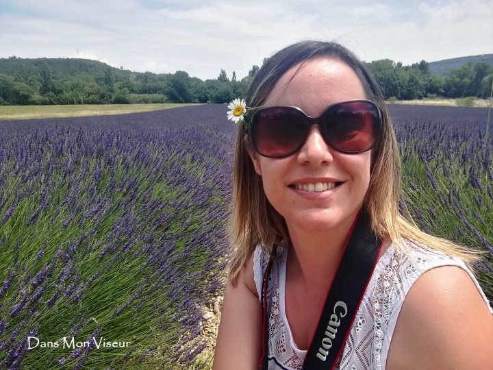 Les lavandes de Drôme&nbsp;Provençale