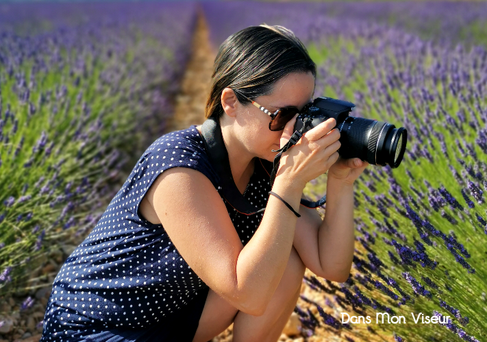 La Drôme des lavandes (le pays de l&rsquo;or&nbsp;mauve)
